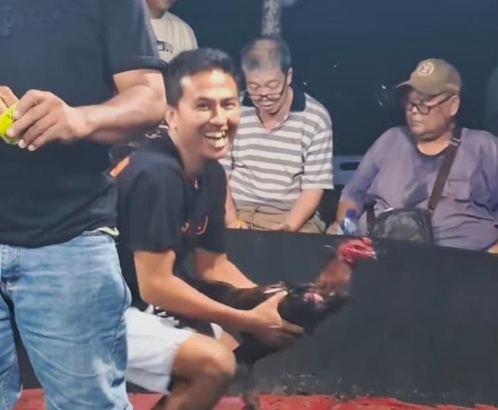 Menantang Aparat: Diklaim Tutup, Sindikat Sabung Ayam ‘Edy’ di Kutalimbaru Terang-terangan Gelar “Event Besar”
